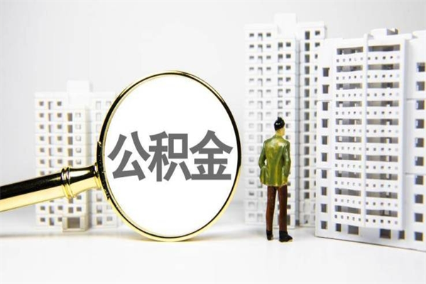 新野代提公积金（代提公积金犯法吗）